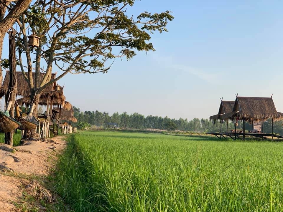 ทุ่งออกญา นาอำแดง 